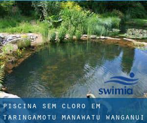 Piscina sem cloro em Taringamotu (Manawatu-Wanganui)