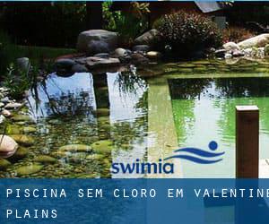 Piscina sem cloro em Valentine Plains