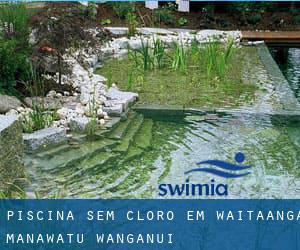 Piscina sem cloro em Waitaanga (Manawatu-Wanganui)