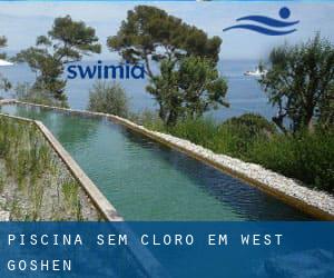 Piscina sem cloro em West Goshen