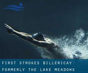 First Strokes Billericay (Formerly the Lake Meadows Swimming Pool)